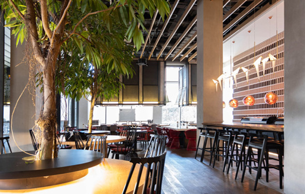 مجتمع شیرین