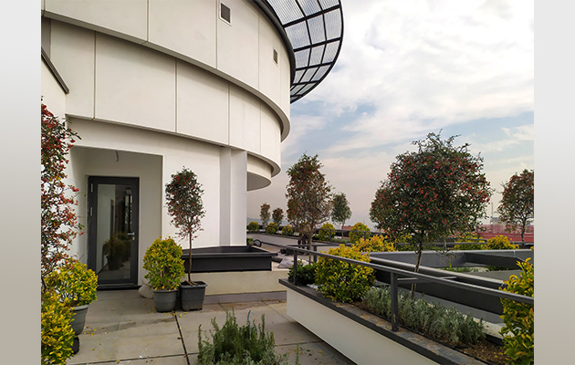 چهار باغ دشتی